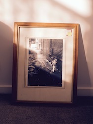 OLYMPUS DIGITAL CAMERA